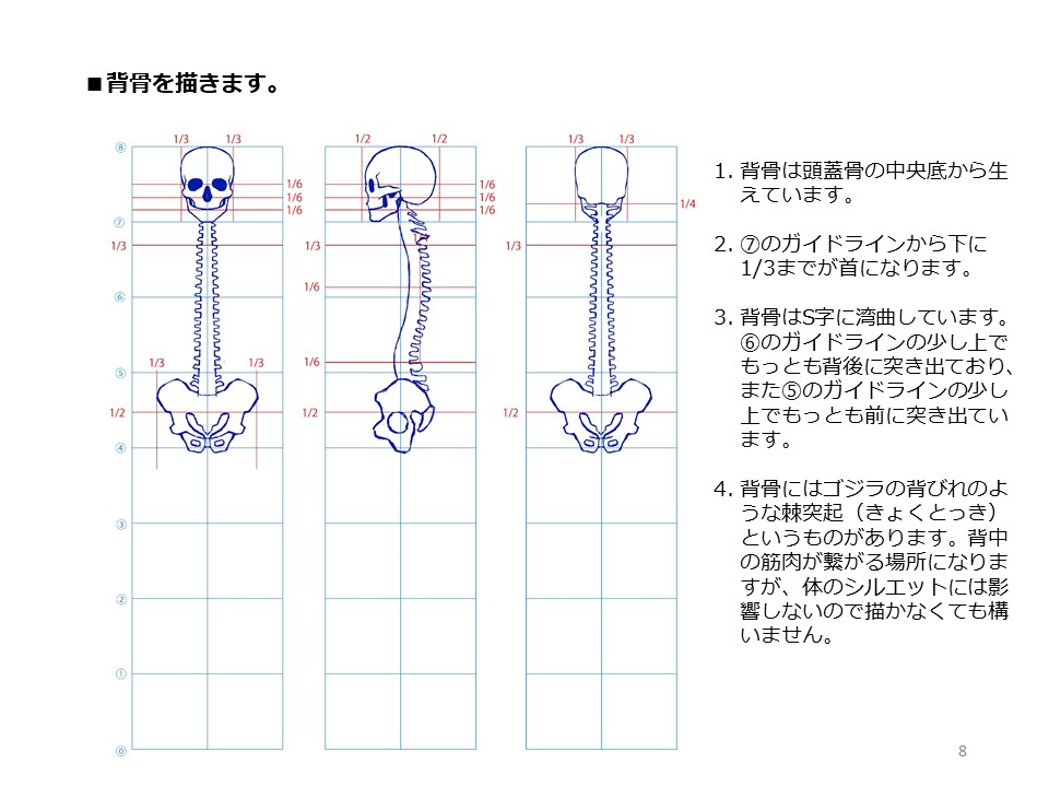 簡単マスター人体三面図(3/13) 
 八頭身用のコマを描き、補助線を引きながら骨格を描ていきます。1コマが頭の高さになり、頭の幅はその3分の2コマになります。骨盤の幅は3分の4コマ、股下は中央、背骨は頭蓋骨の真下から描いていきます。 
PDF版のDLはこちら。
 https://t.co/Eau7nCEvz0 