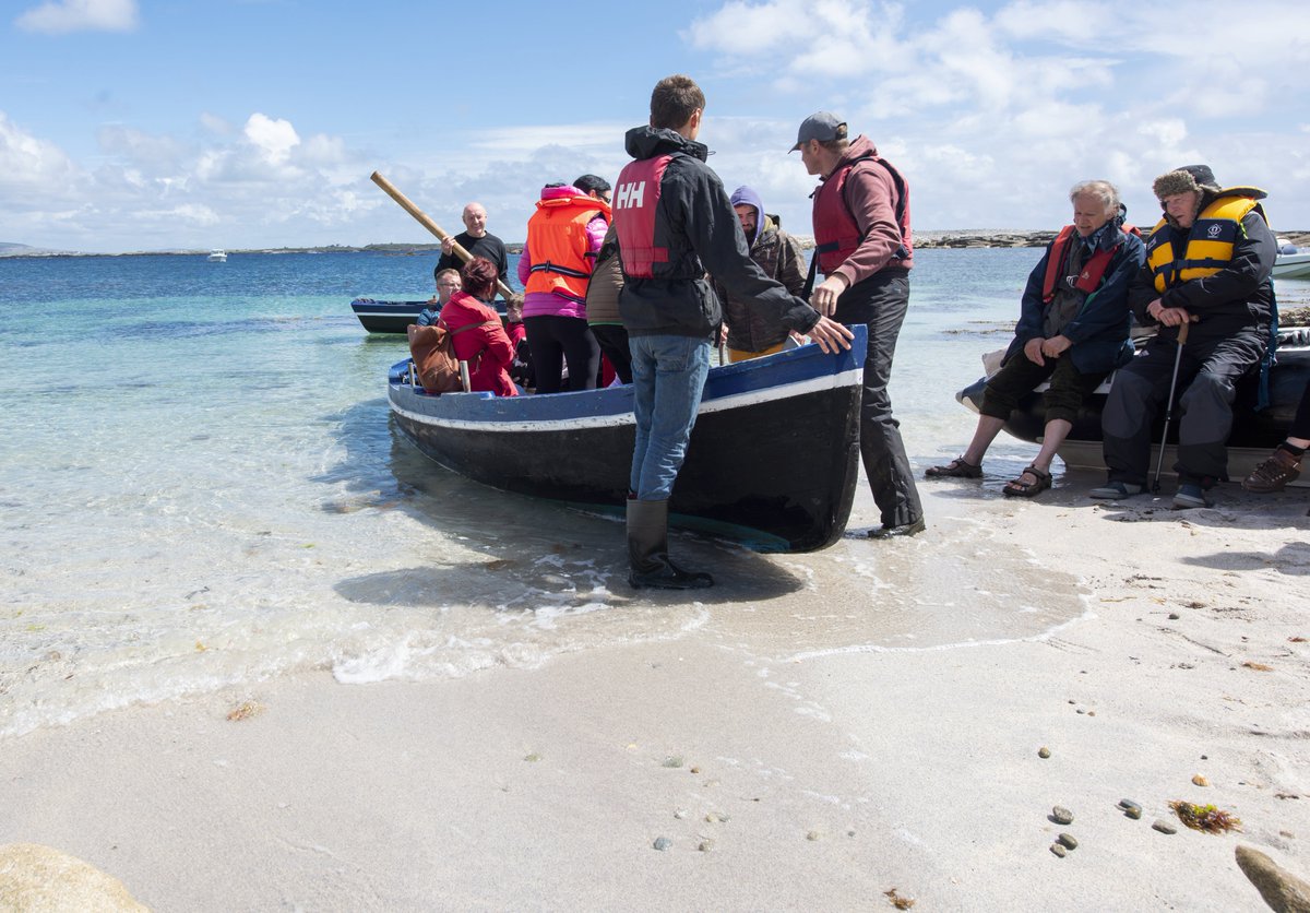 David Gange tweet media