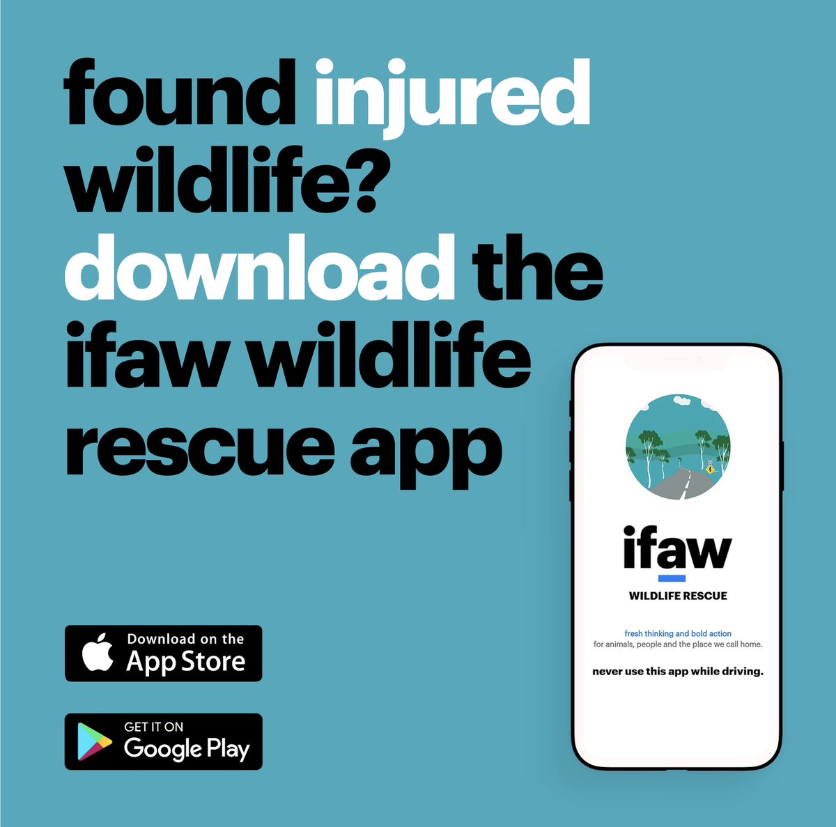 🚨 ALERT 🚨 Severe weather is due to hit the Northern Rivers, Mid North Coast, Metropolitan Sydney, Blue Mountains, The Illawarra and South Coast over the next few days. Download the FREE IFAW Wildlife Rescue app now to help Australian wildlife. If you come across injured or…