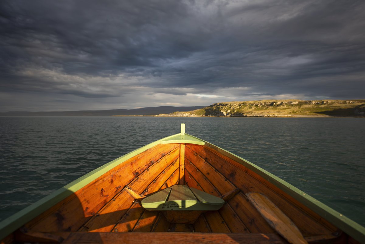 David Gange tweet media