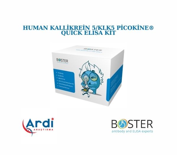 Human Kallikrein 5/KLK5 PicoKine® Quick ELISA Kit 🚀
⚡SKU: FEK0817
⚡Boyut: 96 kuyu/kit, çıkarılabilir striplerle.
⚡Reaktif Türler: İnsan
⚡Uygulama: ELISA
⚡Örnek Türleri: hücre kültürü süpernatantları, serum, plazma (heparin, EDTA), insan sütü ve tükürük
⚡Süresi: 90 Dakika