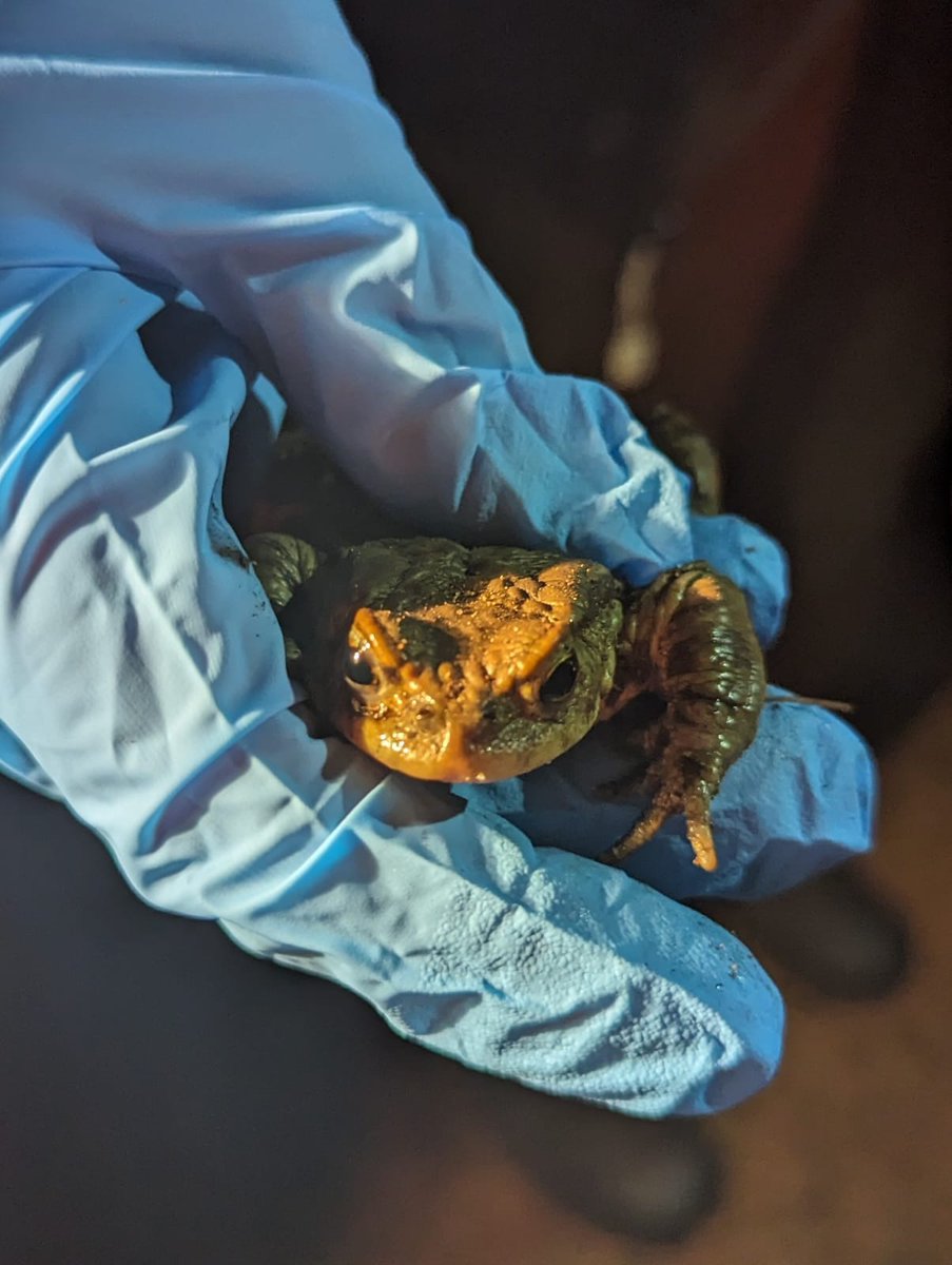 Notts BAG tweet media