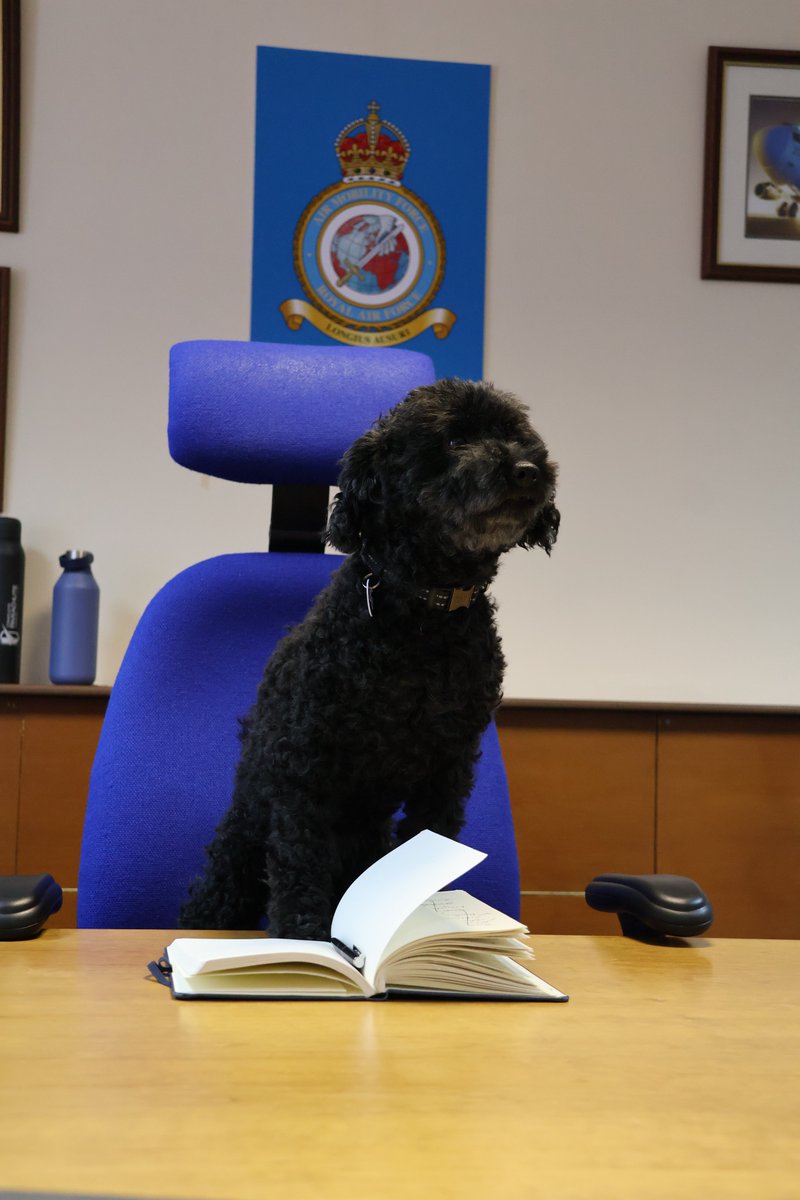'My arrivals brief and induction to RAF Brize Norton is complete. I now get to be boss for the day, move over Commander Air Wing 😁🐶' #nationalpetmonth #RAFAirMobility