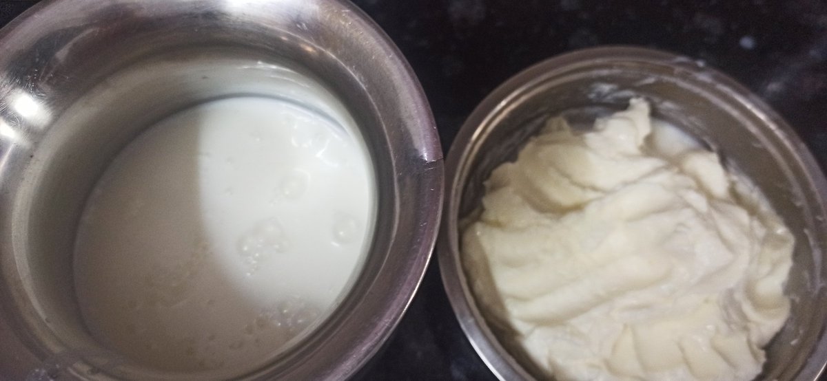 schopraPrerna's tweet photo. Successfully separated butter and buttermilk after churning curd with a hand blender. Now I have two delightful products on hand: creamy buttermilk and fresh homemade butter!
We can drink butter milk for better taste add salt and zeera powder. #DIYKitchen
#bilonaghee
n/3 https://t.co/MLleToKZUo