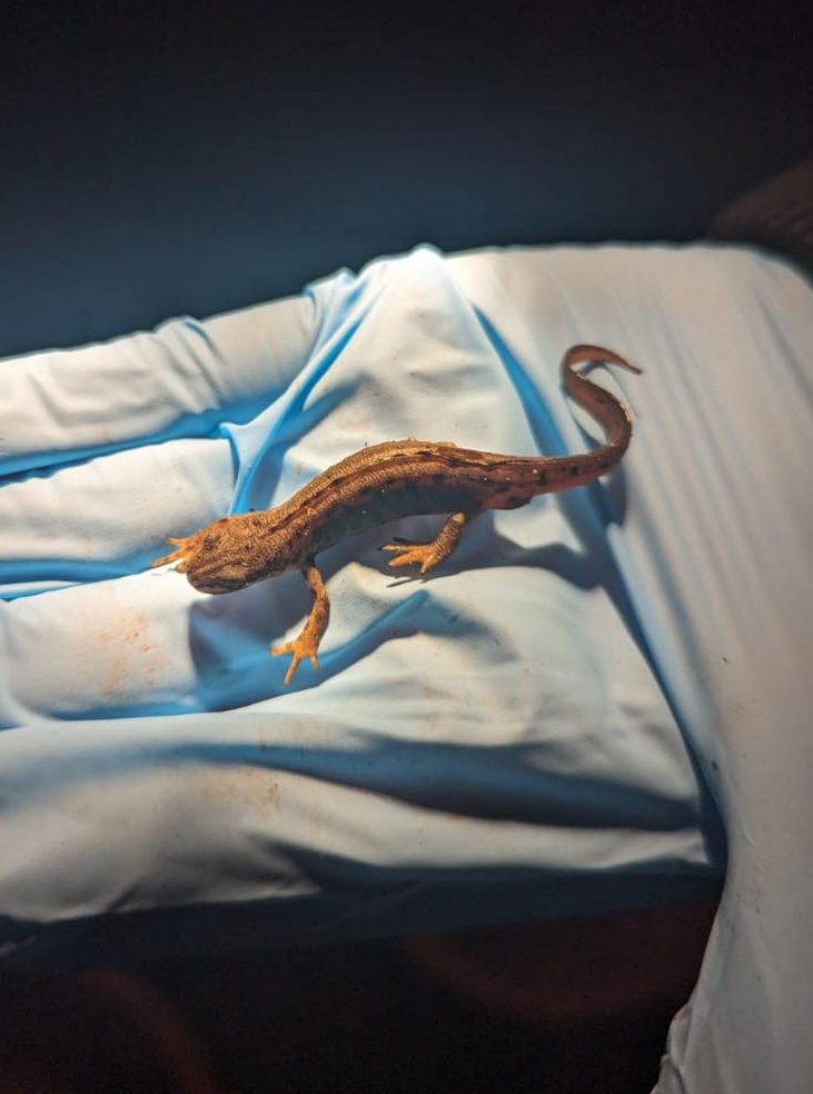 Notts BAG tweet media