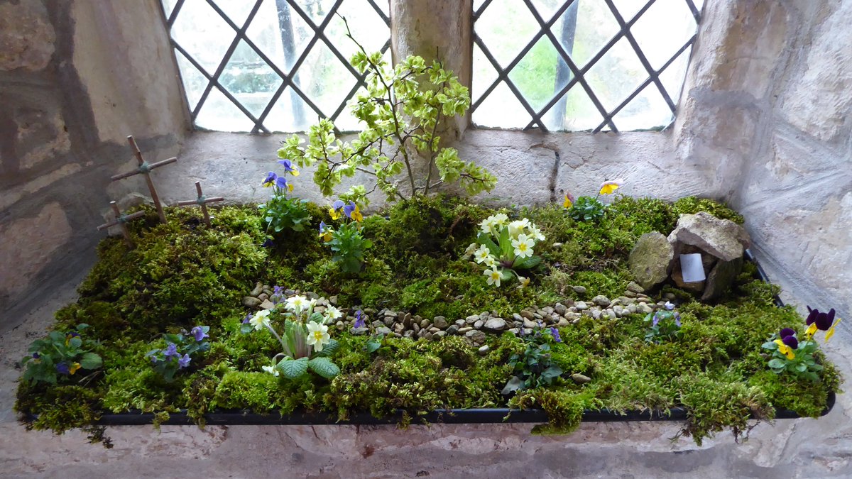 Church-crawling around Easter provides almost unparalleled floral abundance for the visitor.

Lovely reliably open St Mary's Haddenham had this verdant tableau in its porch.  Primroses, violas & violets combine perfectly with moss. @WanLooks 💚