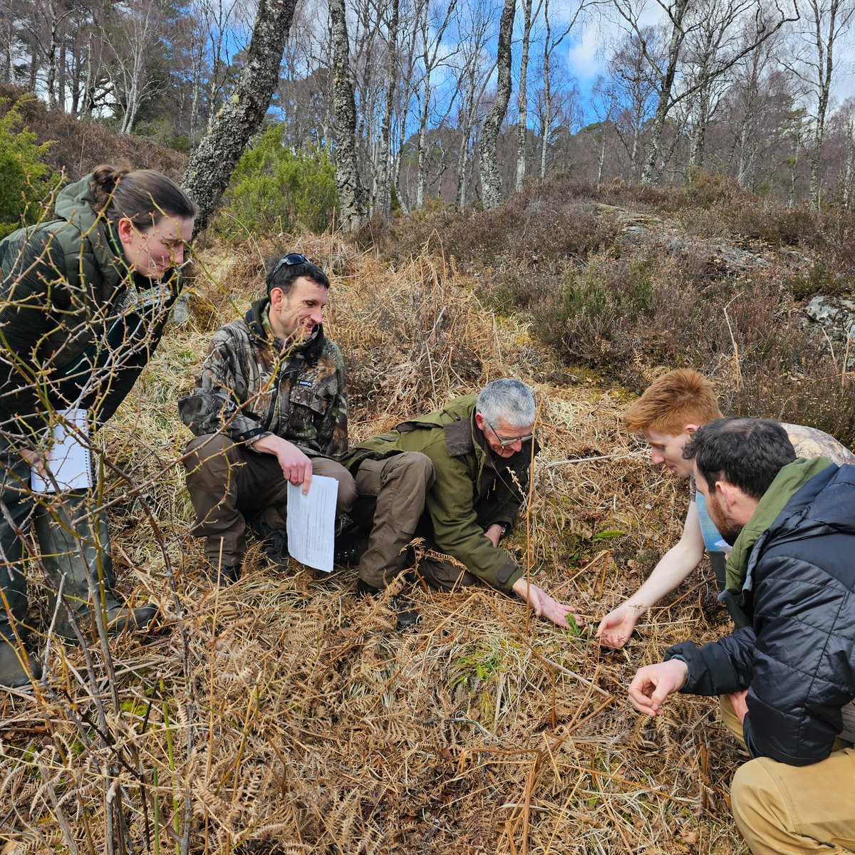 NatureScot tweet picture