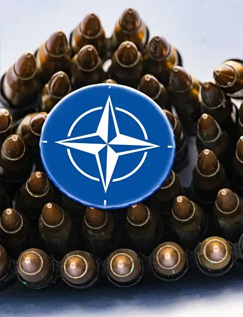 🌐🛡️Did you know that NATO was founded on April 4, 1949? From deterring Soviet threats to adapting to 21st-century challenges, NATO remains a crucial pillar of global security. Explore its fascinating journey! #NATO #CollectiveSecurity
buzzpost.in/nato-safeguard…