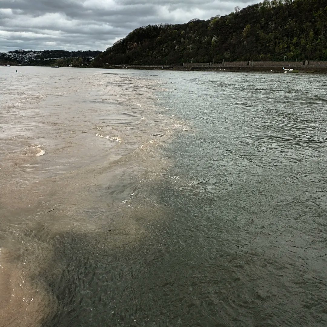 I love this spot in Koblenz where you can see two huge rivers meet - the fast-flowing brown water of the Mosel flows into the blue-green Rhine. This trip is so inspiring - my writing break has only lasted about 24 hours! #WritingCommmunity #research #Mosel #Rhine #Koblenz