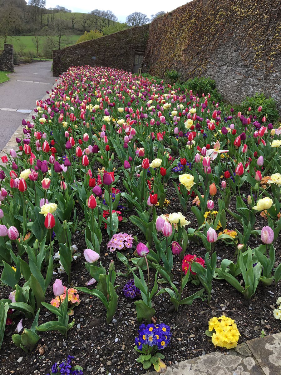 @nspugh @Aberglasney Was there yesterday, just stunning!