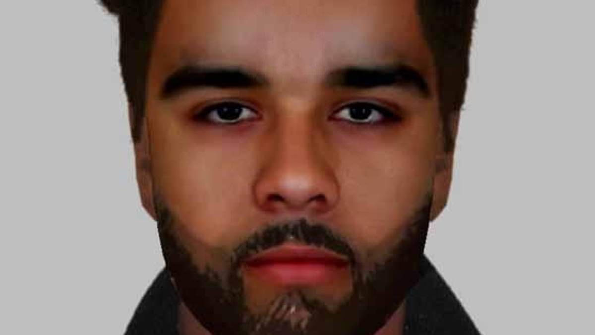 Fears of a serial rapist targeting women across London as police link two assaults four years apart and say it is 'highly likely' there are more victims - as disturbing CCTV footage of him preying on a lone female is released trib.al/xFc2I1N