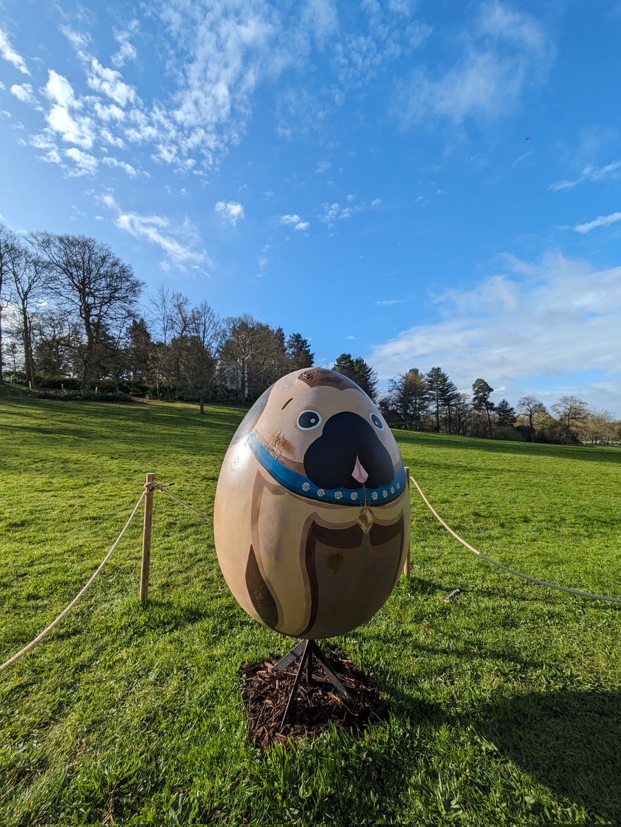 What a beautiful morning it is here at Painshill☀️ Make the most of that lovely blue sky and enjoy a walk of the landscape in search of our BIG Easter Eggs!🐣 Painshill.co.uk #SchoolHolidays #Surrey #EasterHolidays #DaysOut