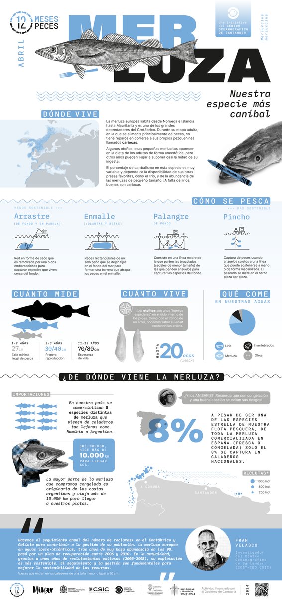 La merluza, nuestra especie más caníbal, es nuestra protagonista del mes de abril en la campaña       #12meses12peces. 
 Os contamos todo sobre esta especie en nuestro       póster ⬇️