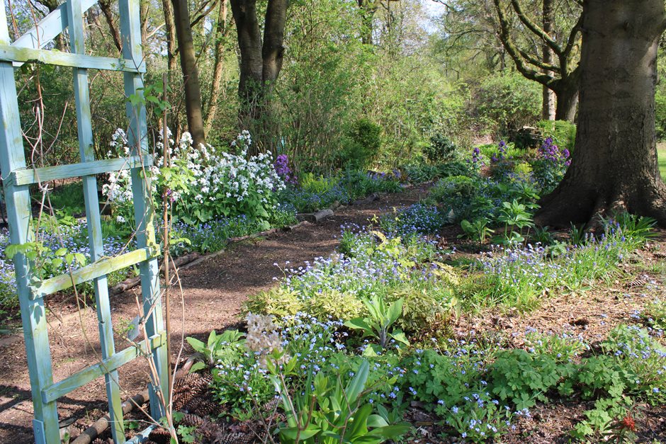 ❓Do you have spots in your garden where plants struggle to survive, never mind thrive? Join us for our 'Plants for Problem Places' workshop and learn strategies to manage difficult locations effectively here on 28 April. Advance booking essential: bit.ly/3U6ch8B