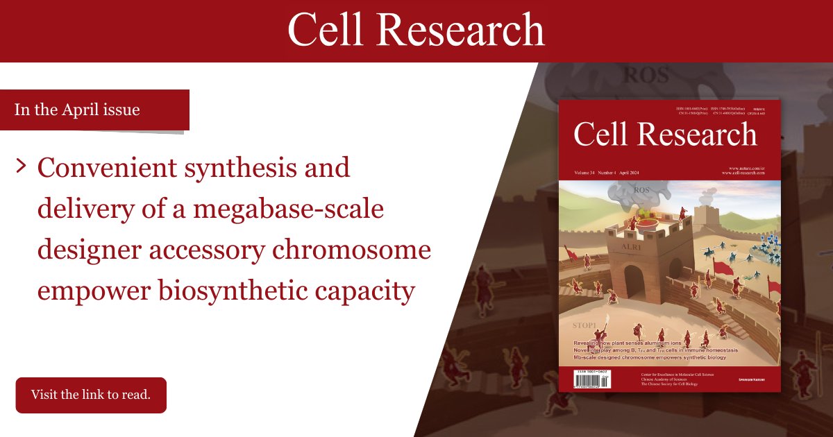 cell_res's tweet photo. The newly developed HAnDy method enables efficient assembly and delivery of large-scale #DNA without complex in vitro manipulations. 
Read more👉https://t.co/CIQBB3bDgp    
#syntheticbiology #DNAassembly #haploidization #CellResearch https://t.co/k3b5n6IBxd