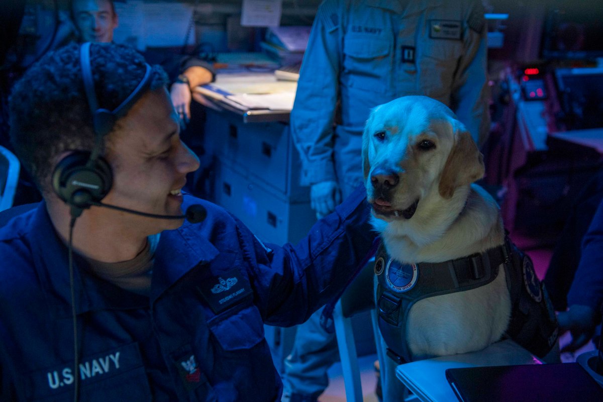 There’s no lengths man’s best friend🐶won’t go to bring smiles to Sailor’s faces! Capt. Demo reports for duty aboard USS Mason in the Red Sea! 📸: Capt. Demo, a facility dog assigned to USS Dwight D. Eisenhower (@theCVN69) visits Sailors aboard USS Mason (DDG 87) in the Red Sea.