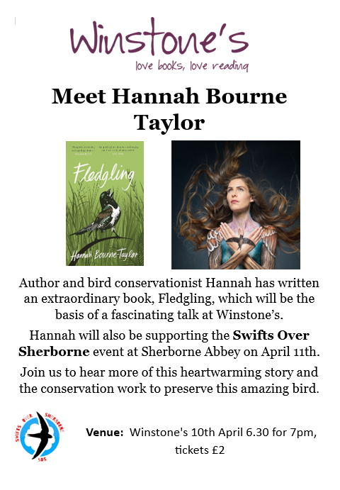 Hannah Bourne-Taylor (@writerhannahbt) on Twitter photo Delighted to return to my birth town: Sherborne, Dorset on 10th April, 7pm to talk about the finch who lived in my hair for 84 days & the #swift in my #book #Fledgling at <a href="/winstonebooks/">Winstone Books Sherborne</a> 🪶📚details⬇️
shop.winstonebooks.co.uk/blogs/events/m… Delighted to return to my birth town: Sherborne, Dorset on 10th April, 7pm to talk about the finch who lived in my hair for 84 days & the #swift in my #book #Fledgling at <a href="/winstonebooks/">Winstone Books Sherborne</a> 🪶📚details⬇️
shop.winstonebooks.co.uk/blogs/events/m…