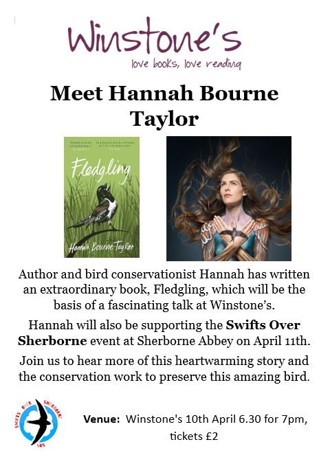 Delighted to return to my birth town: Sherborne, Dorset on 10th April, 7pm to talk about the finch who lived in my hair for 84 days & the #swift in my #book #Fledgling at @winstonebooks 🪶📚details⬇️ shop.winstonebooks.co.uk/blogs/events/m…