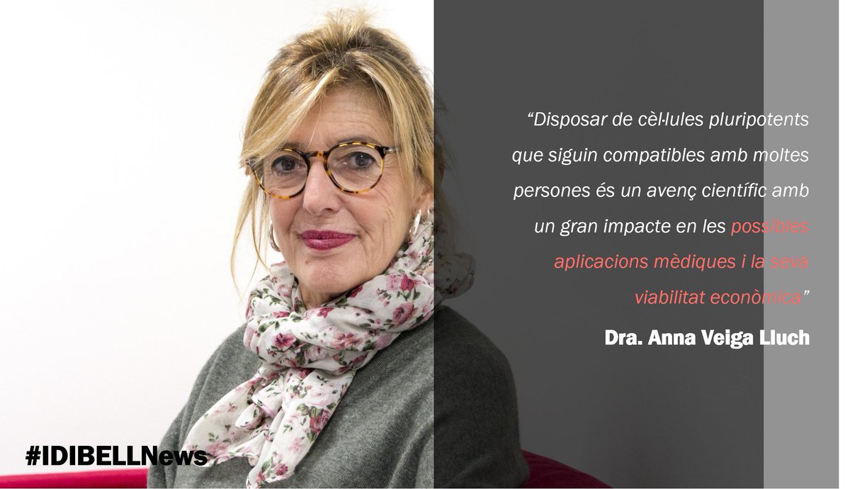 L’<a href="/idibell_cat/">IDIBELL</a> i el BST <a href="/donarsang/">Banc de Sang</a> generen un banc de cèl·lules mare #iPSCs creades a partir de la sang de cordó umbilical. Aquestes podran ser utilitzades per produir medicaments de teràpia avançada i provar-los en assajos clínics💊

llegeix la notícia 👉🏼 idibell.cat/2024/04/lidibe…