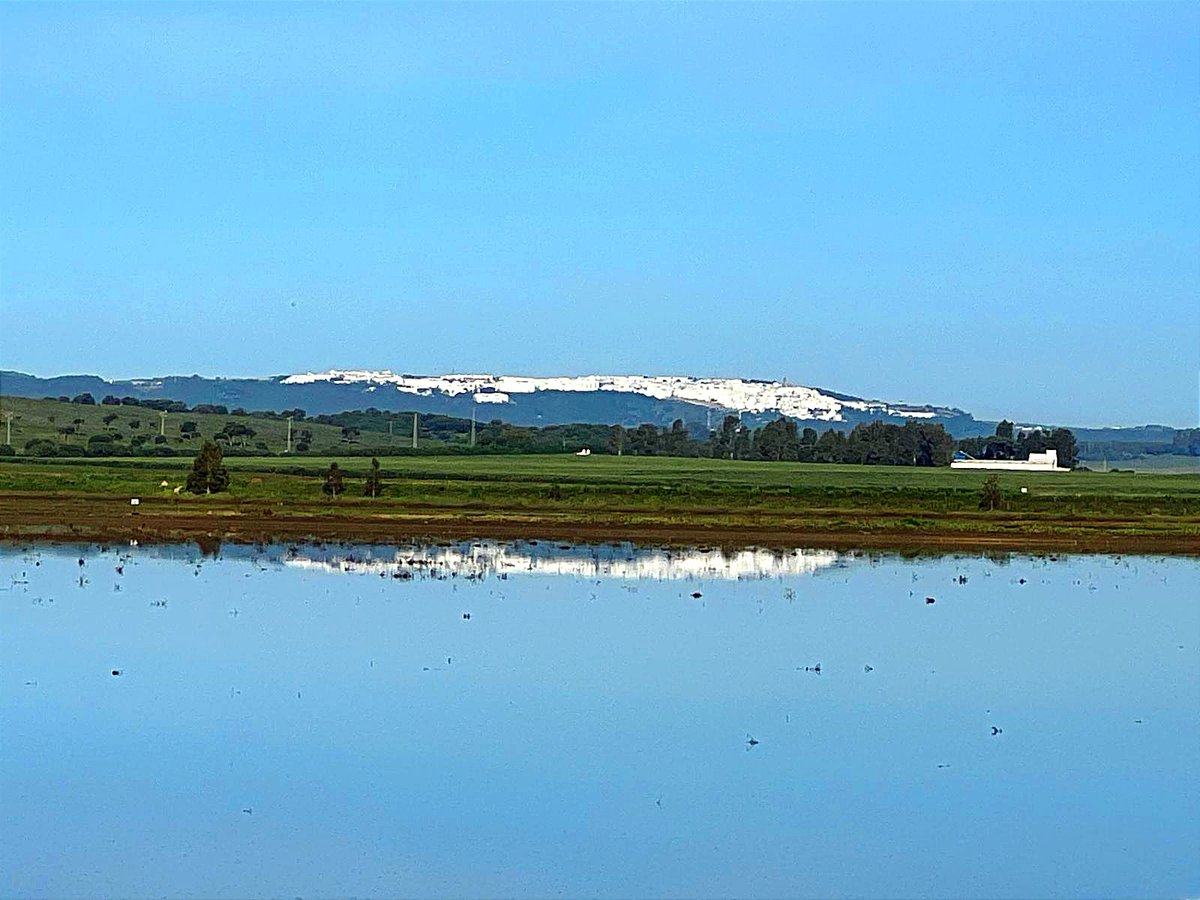 #VejerDeLaFrontera reflejada como una perla en la Laguna de #LaJanda , patrimonio natural y cultural de toda una comarca!