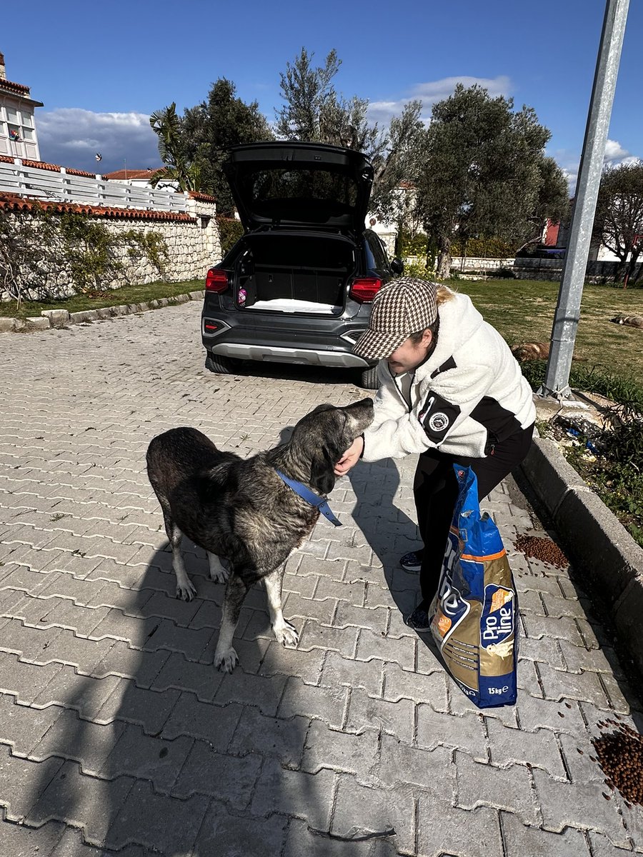 Onlara olan sevgimiz ve düşkünlüğümüz sorgulanamaz. Yaşam haklarına saygı duyduğumuz, onların da bir can olduğunu unutmadığımız, mama ve sularını eksik etmememiz gereken, dünyaya güzellik ve masumluk katan dostlarımızın #DünyaSokakHayvanlarıGünü kutlu olsun 🤍