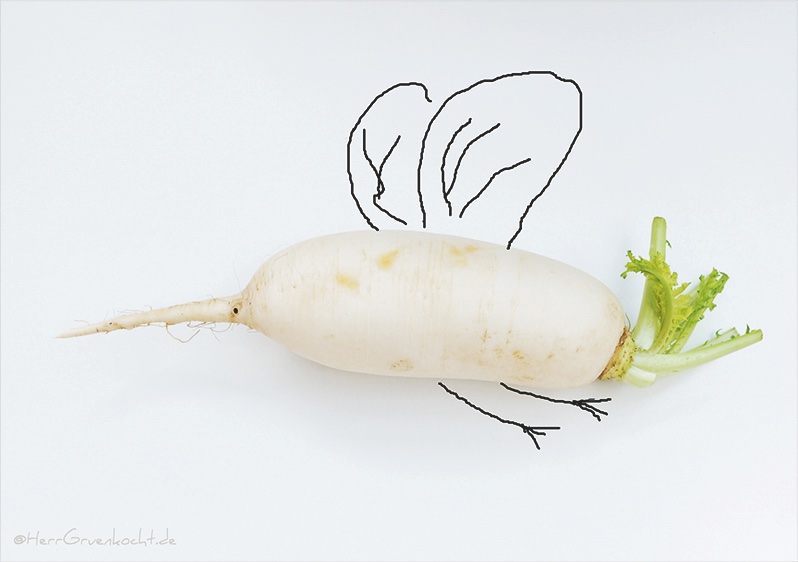 HerrGruenkocht's tweet photo. Die Rettichhornisse
Rettich hat Saison im April:-)
#Rettich https://t.co/DfKWHAmTDf