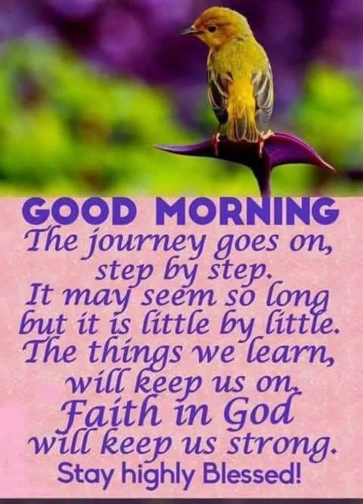 Amen _Amen tweet media