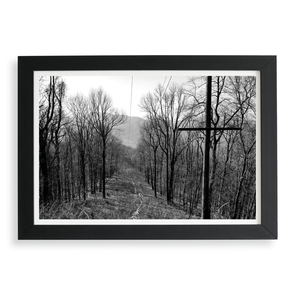 Due to a popular demand I’ve added a Rat Jaw print to my online store! …vid-miller-photography.sumupstore.com #bm100