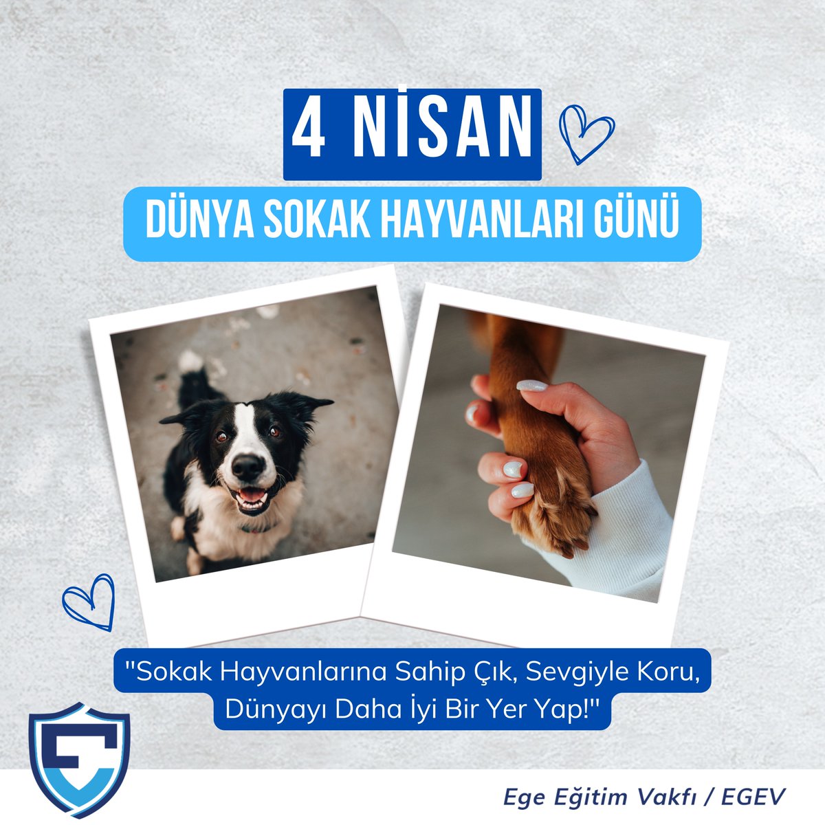 Sokak hayvanları, sevgiye, bakıma ve korumaya muhtaç canlılardır ve onların yaşam kalitesini artırmak hepimizin sorumluluğudur.

4 Nisan Dünya Sokak Hayvanlarını Koruma Günü Kutlu Olsun! 

instagram.com/p/C5VVFnVNOzV/