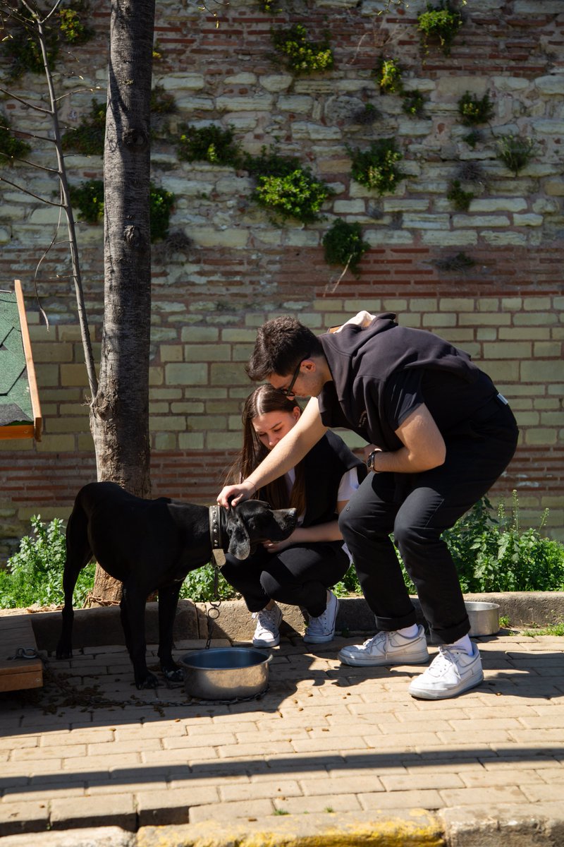 StePulcherie's tweet photo. Afin de vivre ces émotions et de les transmettre, nous avons rendu visite à nos amis à pattes à ‘Yedikule Sevgi Evi’. Ils étaient si beaux, si nobles, si gentils et avaient tellement besoin d’amour… Cette visite, que nous avons faite avec nos élèves du Club Protection des ++ https://t.co/owohscdsjn