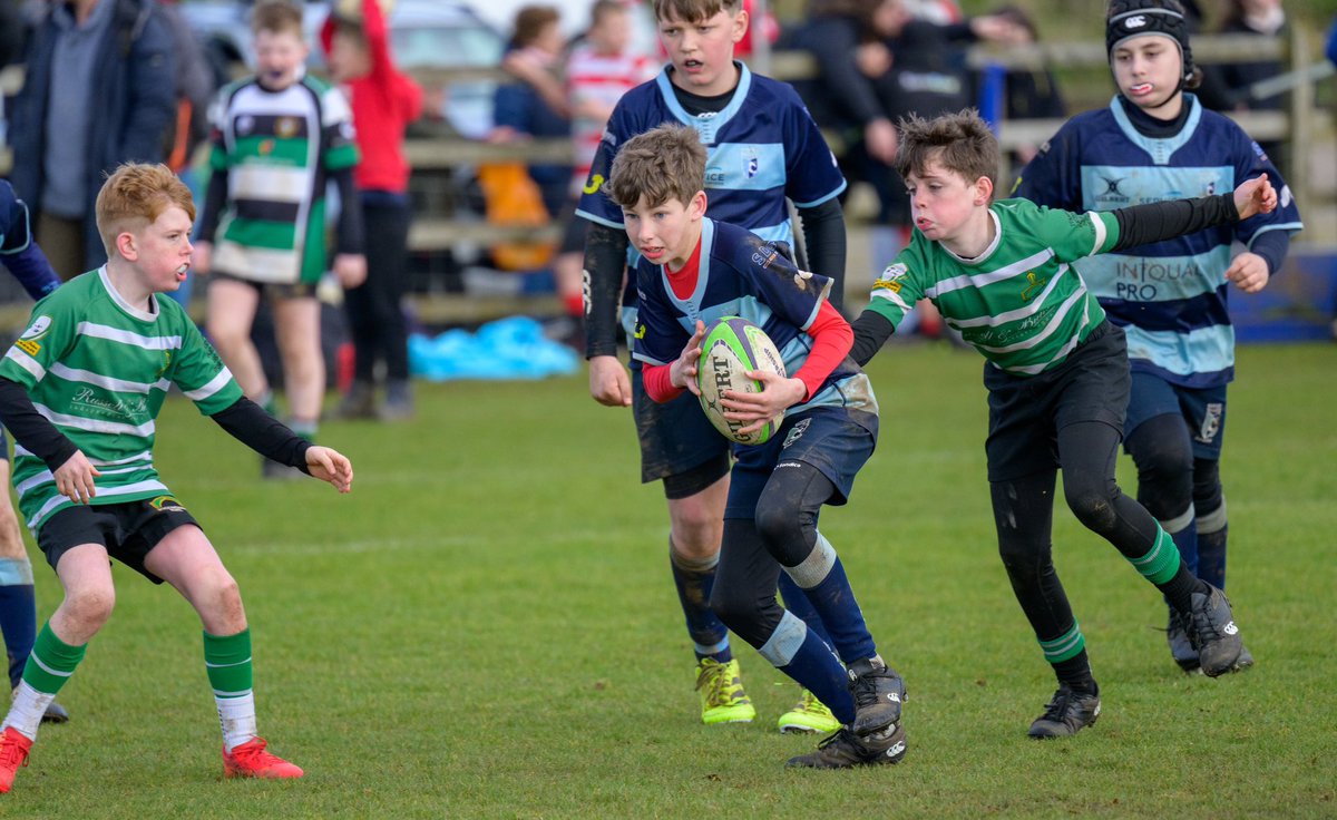 🙌 Another successful few weeks for our @Junior_Blues Minis & Juniors section as they continue 50th anniversary celebrations 👊 Great to see our U12s performing so well at the recent @SaintsComm festival ➕ recent wins for the U14s, U11s & U8s 💪 #BluesFamily #BedfordisBlue