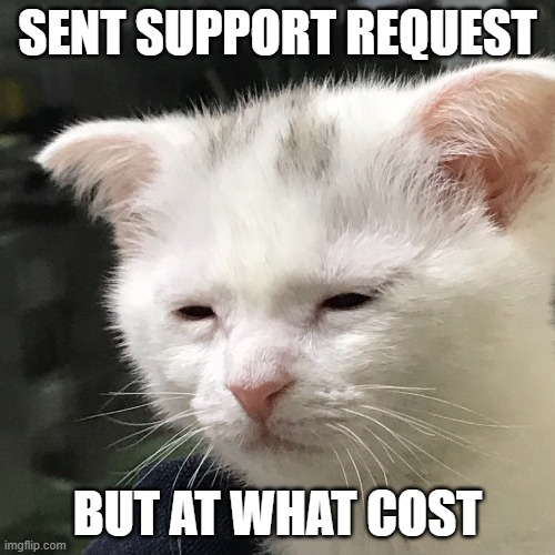 Bartek Igielski tweet media