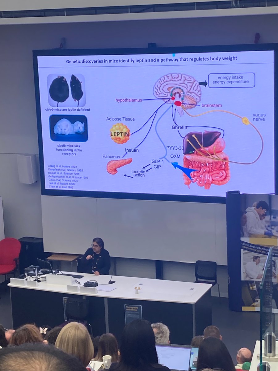 Fascinating keynote from @Farooqi_Lab on the genetics of appetite and obesity! #BFDG2024