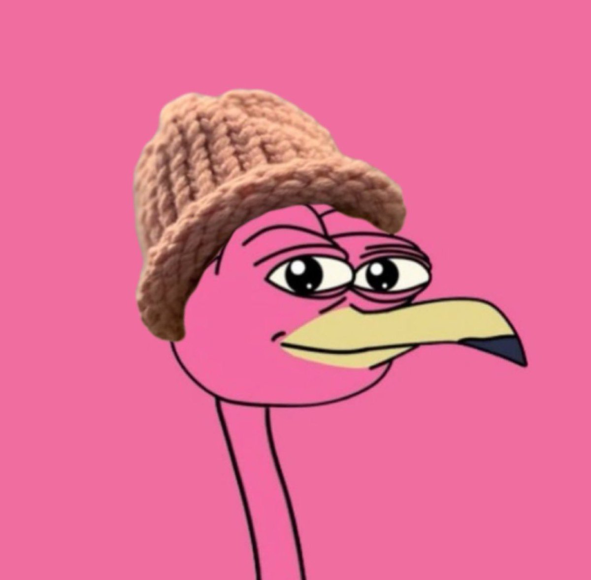 Bir wif hat? Comfy..

$BIR