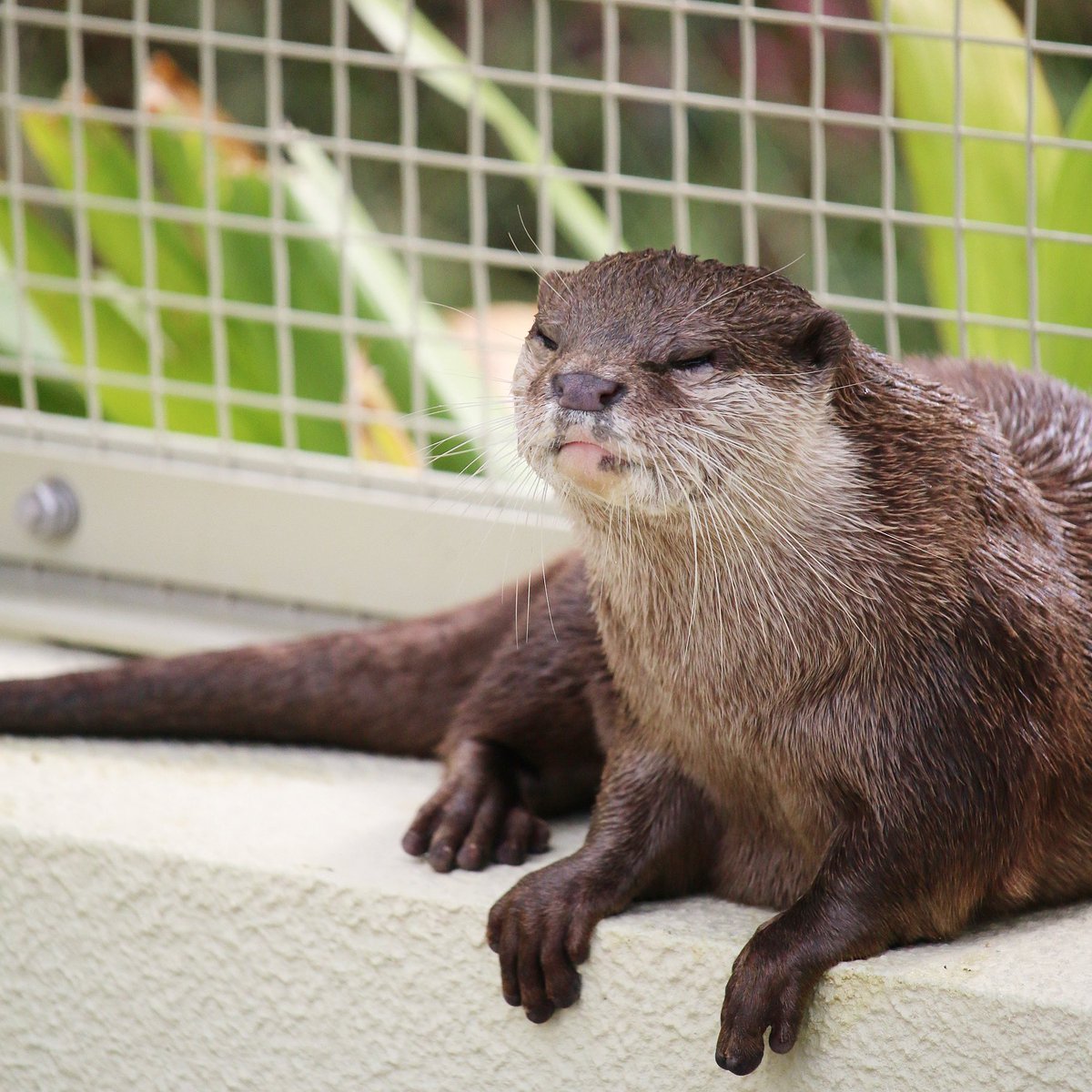 otter_bot's tweet photo. https://t.co/hUbcAGZtqq