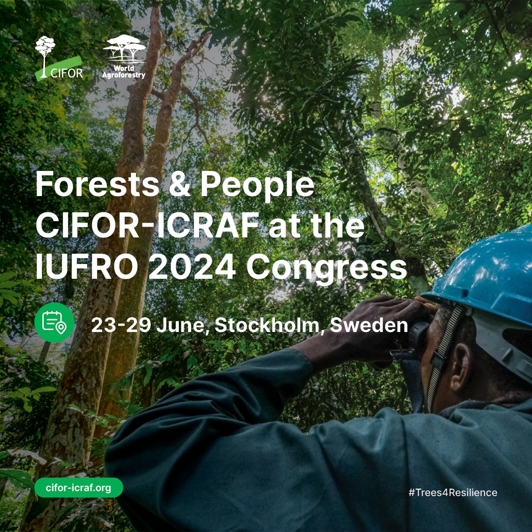 The future of forests is our future🌳 Join CIFOR-ICRAF at #IUFRO2024 for discussions on sustainable forest management and a thriving future for all. 📅 23-29 June 2024 📍 Stockholm, Sweden Our full agenda: 🔗cifor-icraf.org/event/cifor-ic… #Trees4Resilience @‌IUFRO