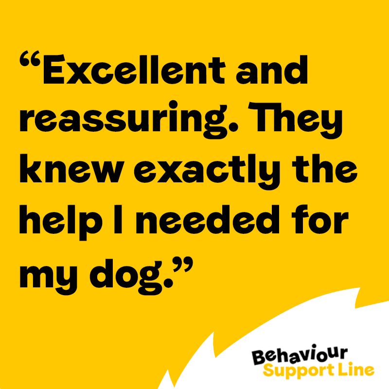 Have you heard of our Behaviour Support Line? ☎️💛 If you & your four-legged friend need support, our free advice line can help with the following issues & more: - Recall training - Biting & mouthing - Separation anxiety - Excessive barking Get in touch: bit.ly/3uPMeIC