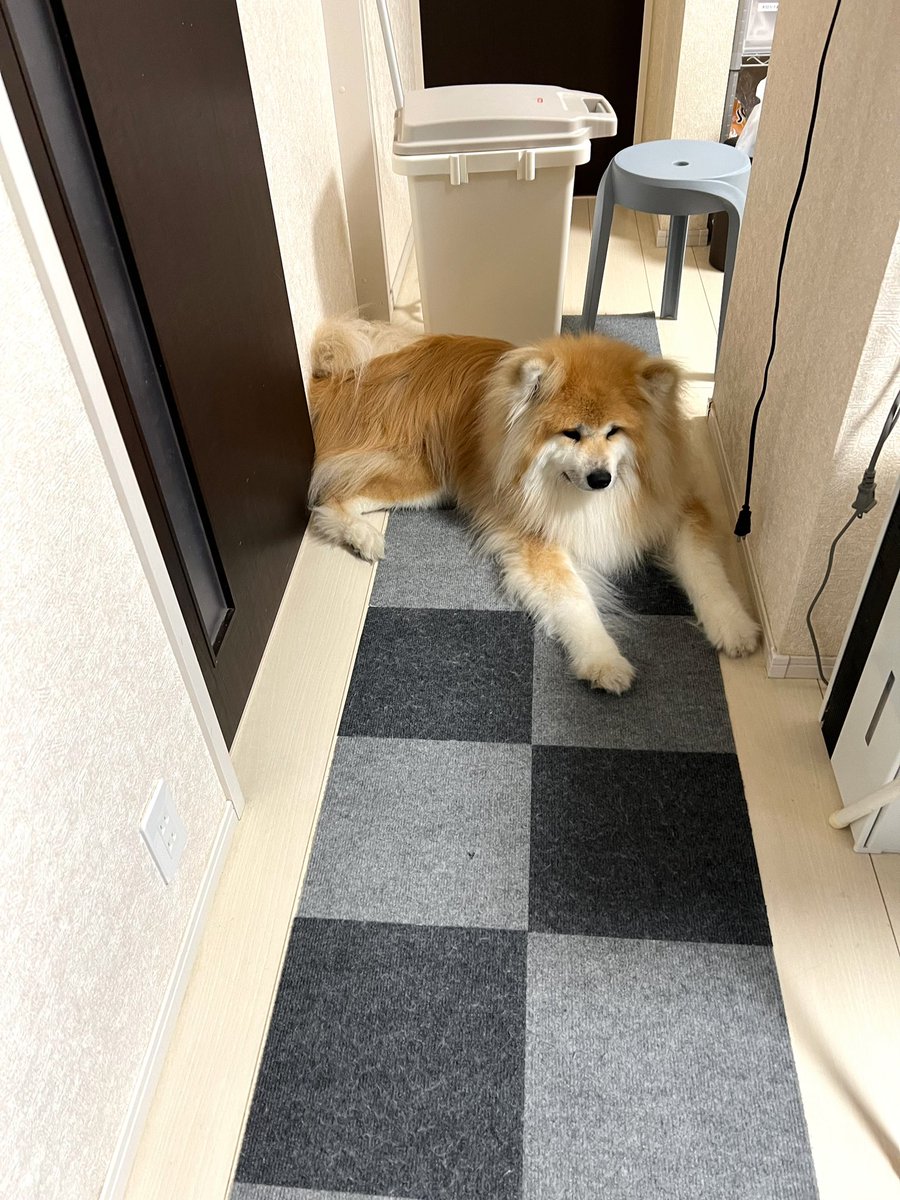 来月には2歳だ!!! 