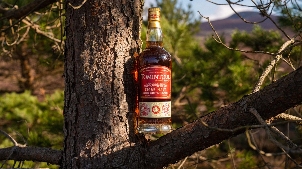 Tomintoul Cigar Malt: crafted to complement the most discerning palate, whether enjoyed solo or paired with your favourite cigar. This lightly peated single malt tantalises with a symphony of flavours, from luscious chocolate raisins and buttery toffees to hints of brambles, all…