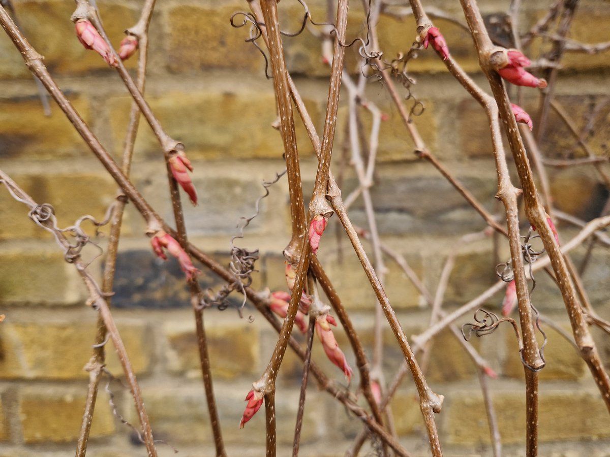 wordsnerd's tweet image. A notice and some vaguely pink things in the #EastEnd

#EverydayWriting #WrittenIdentity #BusinessWriting #WritingCoaching #BusinessWritingForExperts #Savvy #Ideas #Inspiration #StreetArt #StreetWords #Curious