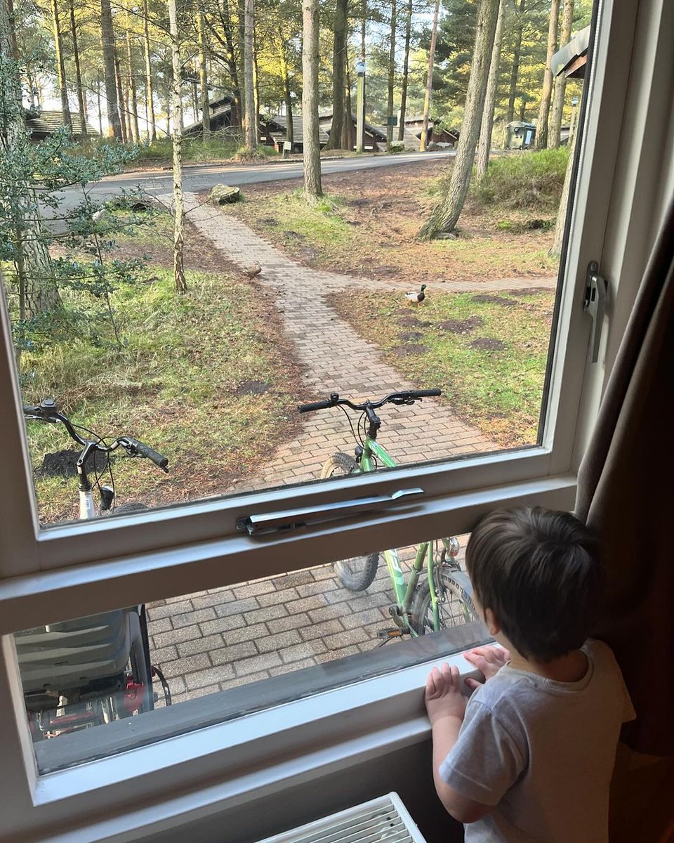 'I spy with my little eye .... ducks!'🦆 📸@thatedinburghmom #CenterParcs #MyCP