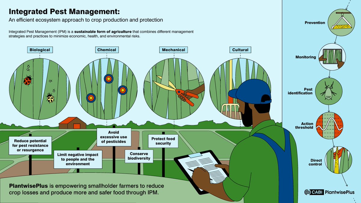 💚🌏Integrated Pest Management is a holistic approach to pest control.

It combines four principles for growing healthy crops, while minimizing risks to health, the economy and the environment. 4️⃣ow.ly/UffY50R4iWv