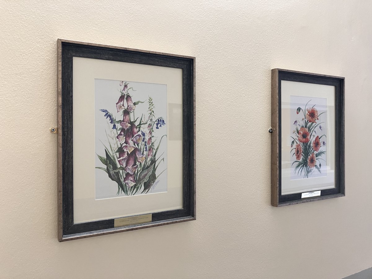 The Arts for Health and Wellbeing Programme and Cardiff & Vale Health Charity are delighted to receive two artworks by Sheila Moore, kindly donated by Llandough Nurses’ Association. You can find out more here: healthcharity.wales/llandough-nurs…