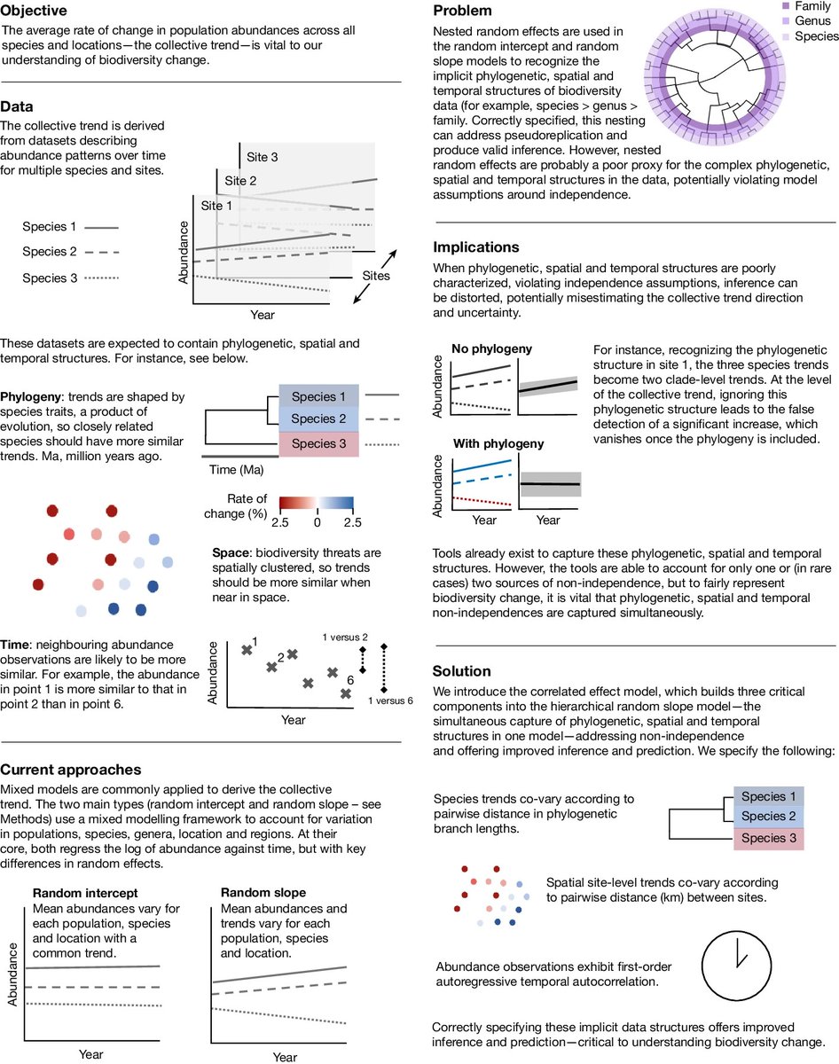 #PapersBiologiaUB-@IRBioUB | 🌿 Un nou marc estadístic revela incerteses i gran complexitat en les variacions de la #biodiversitat. 📊 Com podem afinar les prediccions locals i tendències per orientar millor la conservació? twitter.com/PolCapdevila90…