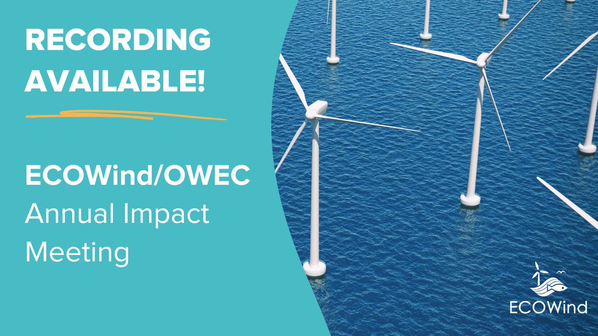 ECOWind_UK's tweet photo. Did you miss the #ECOWind & #OWEC Annual Impact Meeting last November?
Check out the series of talks by #policy experts, scientists, academics, and industry stakeholders exploring the work underway to understand how #OffshoreWind affects UK ecosystems. https://t.co/GyXXepikW1 https://t.co/skPkp20iwc