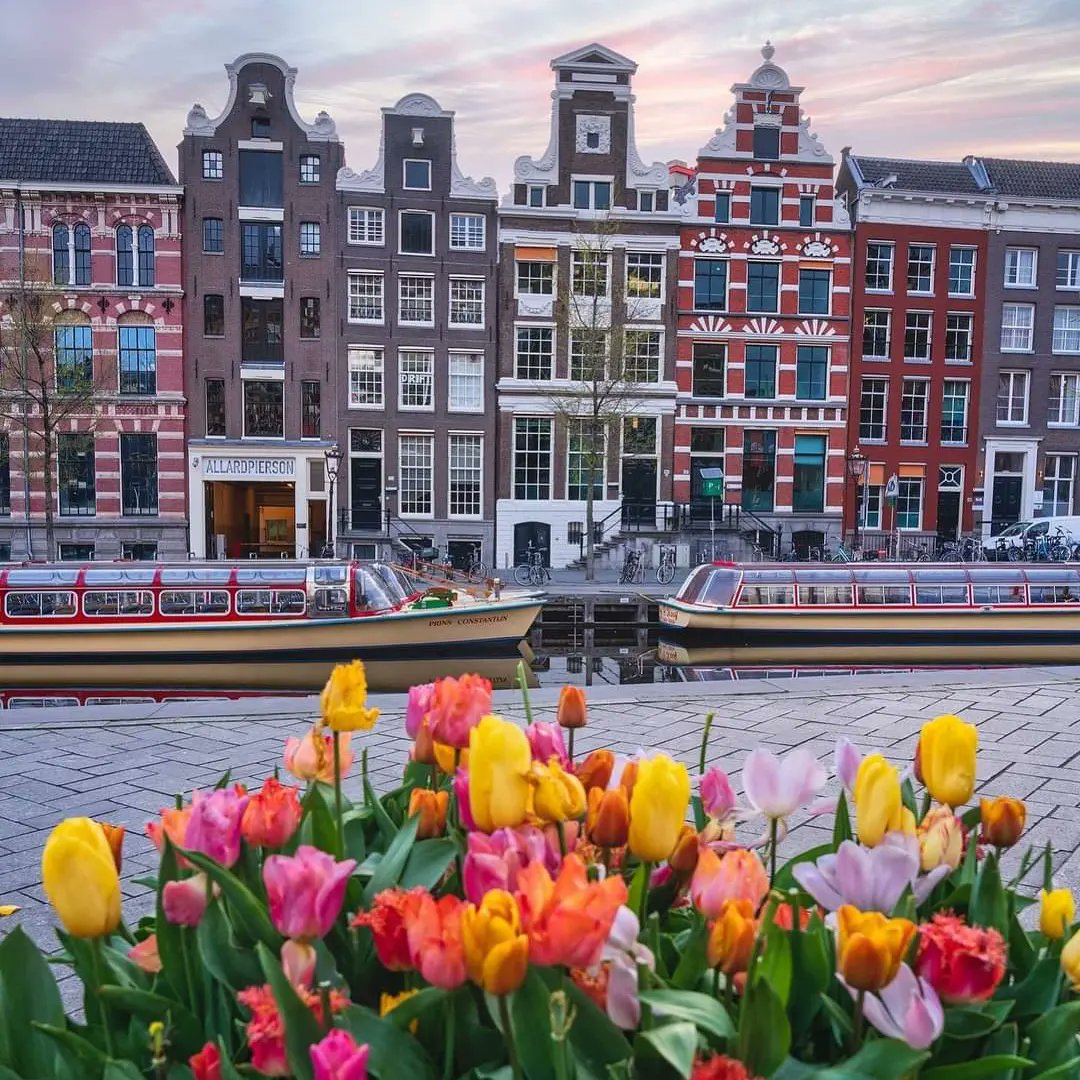 diplomatic_the's tweet photo. NETHERLANDS- AMSTERDAM
Visiting Amsterdam was a magical experience, with the Tulips season starting and endless fields of colorful flowers stretching as far as the eye can see.
Finding beautiful flowers is a great way to discover the city!
#tulips
#AmsterdamCalling #tulpen https://t.co/1gQ41NIh0d