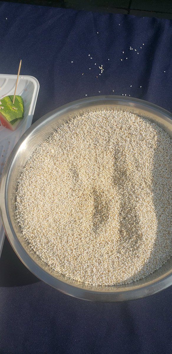 Elvis Leyian (@elvis_leyian) on Twitter photo A journey that will Unlock Amaranth’s potential to tackle food security, boost nutrition, and bolster climate resilience across the continent. #supercrop <a href="/FAOKenya/">FAO in Kenya</a> <a href="/hnhkenya/">Heads and Hands Initiative</a> Grupo De Enlace Amaranto Mexicano A journey that will Unlock Amaranth’s potential to tackle food security, boost nutrition, and bolster climate resilience across the continent. #supercrop <a href="/FAOKenya/">FAO in Kenya</a> <a href="/hnhkenya/">Heads and Hands Initiative</a> Grupo De Enlace Amaranto Mexicano