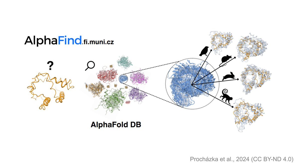 “I really appreciate this super easy to use and fast web application tool for finding proteins similar to an input,” @ArcadiaScience reviewers say about this evaluated preprint presenting the new tool AlphaFind. sciety.org/articles/activ…