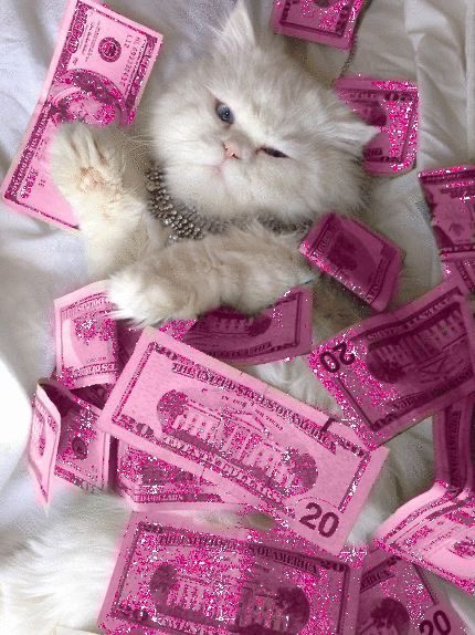 pixieeelocks's tweet photo. How does pinterest see you? π
Search: fashion, pantone, mood, food πβ¨
I love these silly little twitter trend things look at the absolute divalicious cat π https://t.co/Jb1GnOHOPh