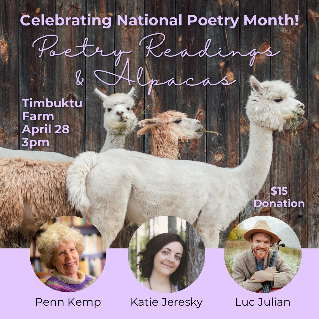 #nationalpoetrymonth Sun April 28 3pm Timbuktu Alpaca Farm Poetry, Cello, Alpacas-! Enjoy interactive poetry readings in the covered barn, among alpacas including one named Poet with @katiejeresky @lucjulian & me! Register: timbuktufarm.com/even.../poetry… #NPM24!#poetry #poetrycommunity